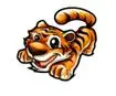 tigerrr