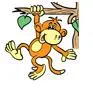 monkey