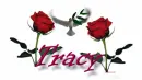 DOVE-FOR TRACY