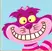 Cheshire