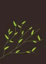black ang green leaves