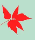 blue and red leaves