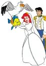 Ariel&Company