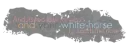 white horse