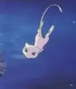 pokemon -mew