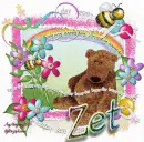 Zet