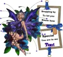 Purple Fairy Toni