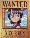 wanted robin 