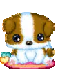 Cute Dog