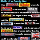 Chocolate quotes