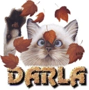 DARLA 