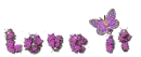 Purple Love It