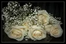 Flowers.
