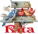 rita