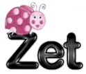 zet ladybug