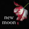 new moon