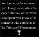 Triwizard Champion