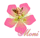 Moni