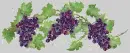 Grapes.