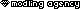 Modling Agency