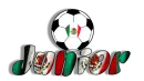 soccer ball