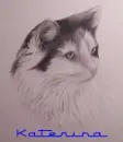 Katerina