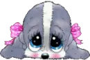 puppy