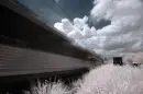 train