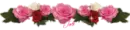 Little Roses
