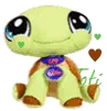 Cute Turtle