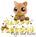 Happy Tuesday