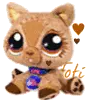 Cute Dog