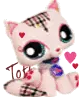 Cute Kitty
