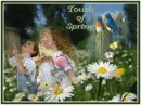 touch  of  spring