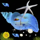 shell