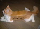 gandam cat