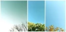 winter,summer,fall