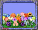 Flowers on frame