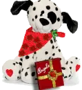 Angela, dalmation puppy