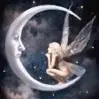 fairy
