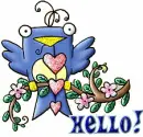 Hello