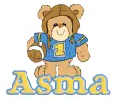 teddy bear football asma