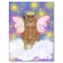 Angel cat