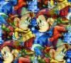 Minnie & Mickey
