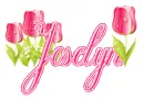 tulips joselyn