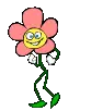 flor