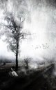 Lonely