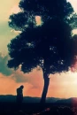 ...tree...