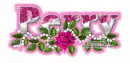 Pink rose Perry