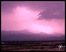 Pink Sky